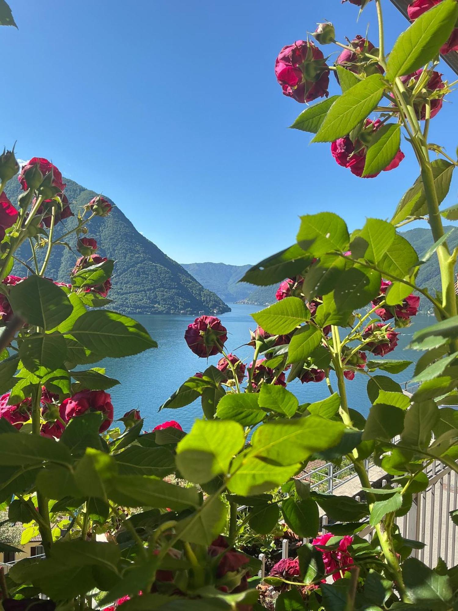 Colonno Panoramica Lago Di Como Extérieur photo